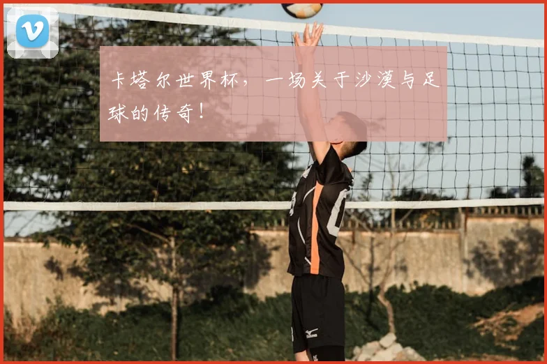 卡塔尔世界杯，一场关于沙漠与足球的传奇！